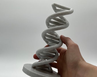 DNA Model | DNA Helix | DNA Decor | Teacher Gift | Bedroom Decor | Kid's Gift | Genetic Gift
