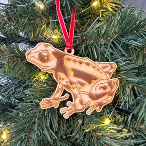 Personalized Dart Frog Exotic Pet Ornament