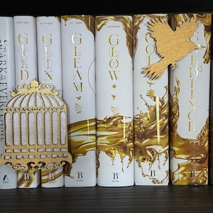 Insats till bokhylla med pläterad fångemotiv – gyllene fågelbur, steglits, fantasidekor, BookTok-present, boklig hyllinsats för läsare