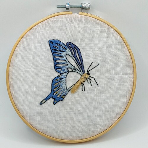 Butterfly Embroidery Kit Etsy UK