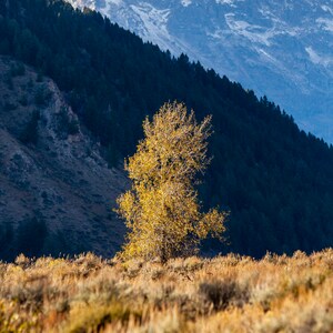 Grand Teton - Peak Enttäuschung