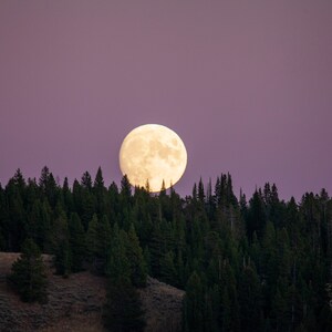 Yellowstone Moonrise