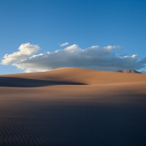 Warm Dunes