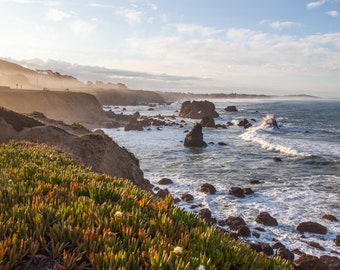 May include: A rocky coastline with a bright blue sky and white clouds. The foreground features a lush green plant with small white flowers growing on a cliff overlooking the ocean.