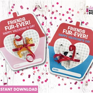 Amis fourrure pour toujours ! Faveur de classe imprimable de téléchargement instantané de bonne Saint-Valentin, faveur de Saint-Valentin de transporteur de chat, faveur préscolaire de chat de minou