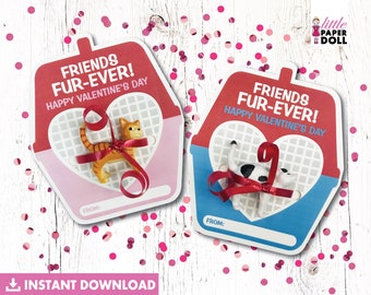 Friends fur-ever! Happy Valentine's Day instant download printable classroom favor, cat carrier Valentine's favor, kitty cat preschool favor