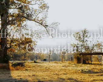 Keatchie Farm