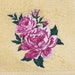 see more listings in the embroidered bath linen section