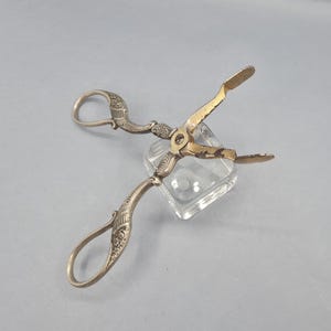 Può includere: Pinze per zucchero antiche color argento con dettagli ornati ed estremità di presa dorate. Le pinze sono aperte, appoggiate su un portazucchero quadrato di vetro trasparente. Le maniglie hanno un design ad anello.