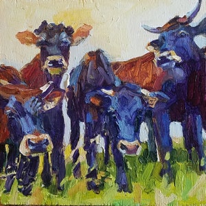 Canadienne  Cattle