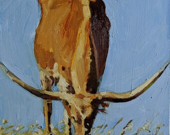 Texas Longhorn Cow