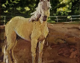 Koń kaspijski, wydruk giclée, seria Livestock Conservancy | 8x8 lub 10x10
