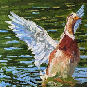Saxony Duck