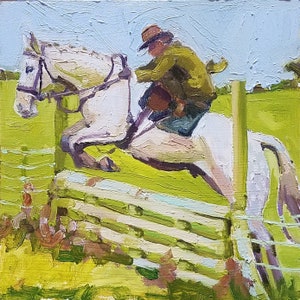 Irish Draught Horse