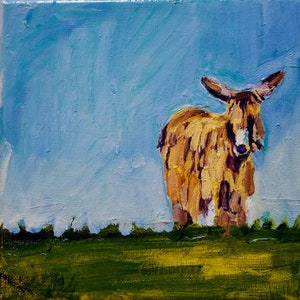 Poitou Donkey II