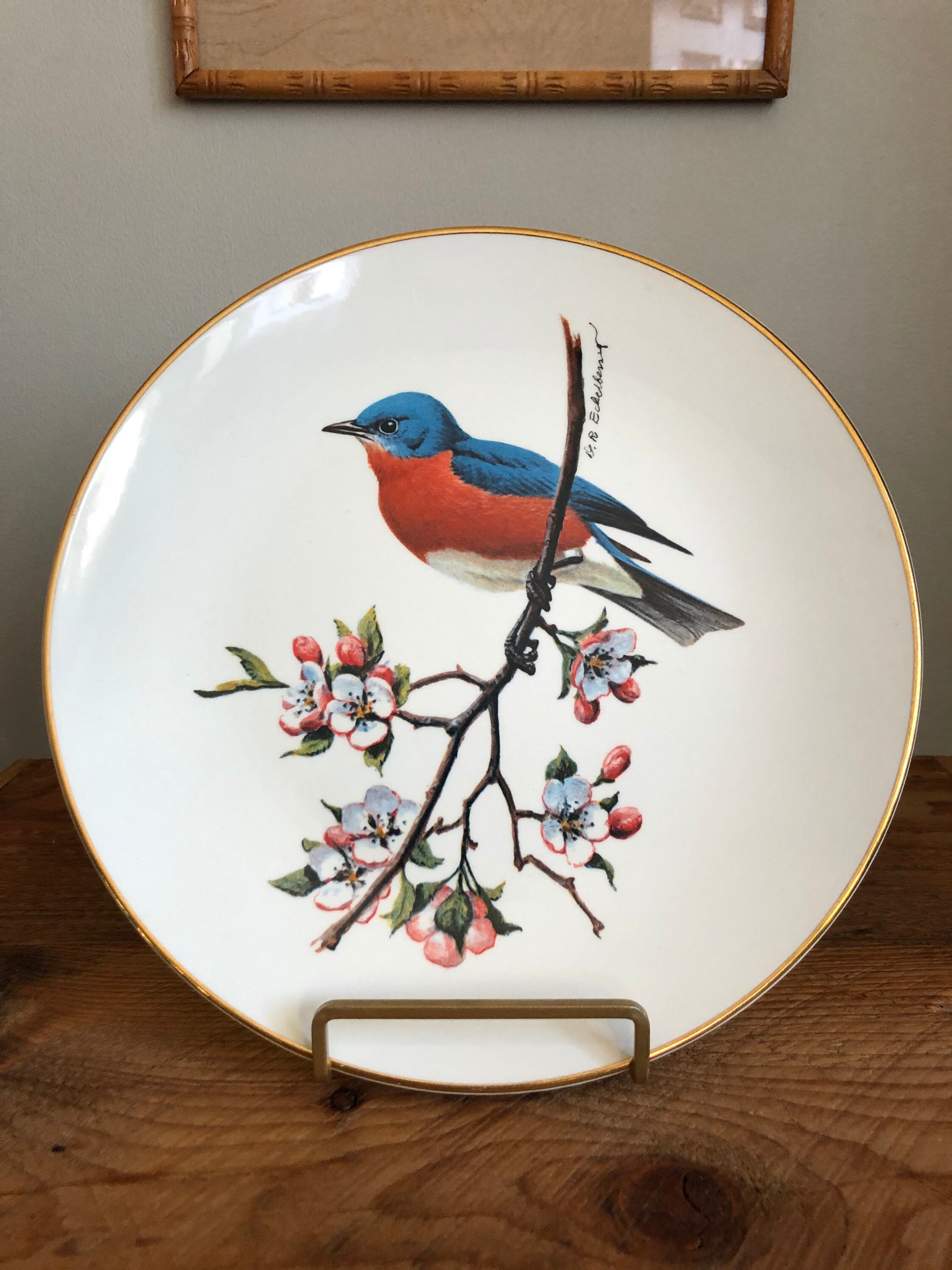 Vintage Avon Collectible Bird Plates North American Songbird Etsy