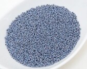 20g 10 0 Smoky Ocean Blue, Preciosa Ornela, Blue Beads 57549-10, Size 10, DIY jewelry, KR069