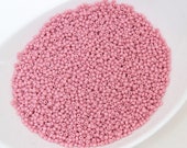 20g 10 0 Baby Pink Rose Opaque, Czech Glass Seed Beads, Preciosa Ornela, Pink Beads 03193-10, Size 10, DIY jewelry, KR230
