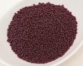 20g 10 0 Frosted Matte Dark Cherry, Czech Glass Seed Beads, Preciosa Ornela, cherry Beads, 90120-10, Size 10, DIY jewelry, KR285
