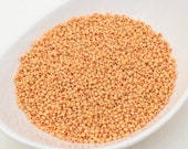 20g 10 0 Pale Orange Peach Opaque, Czech Glass Seed Beads, Preciosa Ornela, pale Beads 00125-10, Size 10, DIY jewelry, KR162