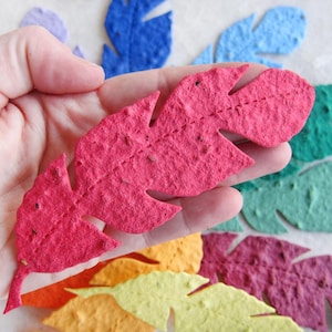 Love Grows Wild - Bomboniere Boho piantabili con semi di carta, piume - Vintage sbiadito immagine 9