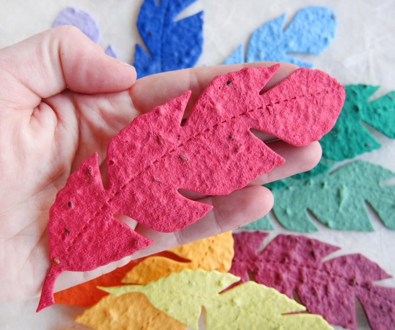 Love Grows Wild - Bomboniere Boho piantabili con semi di carta, piume - Vintage sbiadito immagine 9