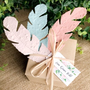Love Grows Wild - Bomboniere Boho piantabili con semi di carta, piume - Vintage sbiadito immagine 8