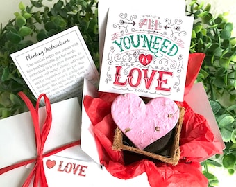 Seed Planting Gift Box - All You Need is Love - Gardening Gift - Mother's Day BFF Flower Seed Paper Hearts