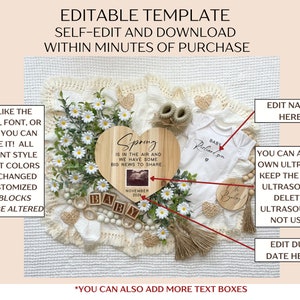 May include: A digital template for a baby announcement featuring a wooden heart with the text "Spring is in the air and we have some big news to share" and a baby ultrasound image. The template also includes a baby onesie, wooden blocks spelling "baby", and a bouquet of white daisies.