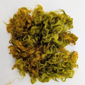 May include: A cluster of raw, curly animal fiber locks dyed in variegated shades of olive green, chartreuse, and golden yellow. The texture is soft and spiraled, with individual strands showing a natural luster and a dense, tangled arrangement.