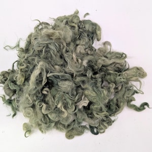 Moss Green Cotswold Curly Wool Locks: Felting & Doll Hair, 1oz
