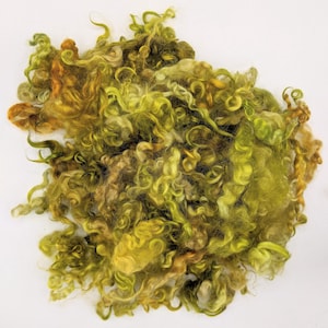 Forest Floor | Cotswold Lock Wool | Felting Wool | Doll Making Wool | Lustrous Gold and Green Locks