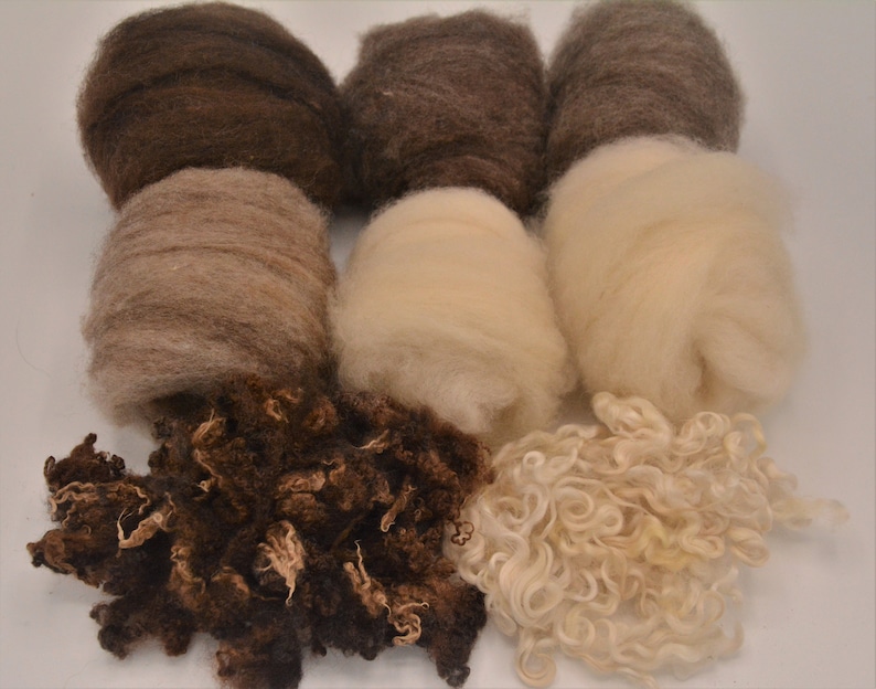 May include: An assortment of natural wool fibers in various shades of brown and cream. The image displays several bundles of wool, including tightly wound balls and loose, textured locks, ideal for crafting and textile projects.