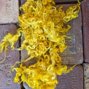 Bright Yellow Cotswold Lock Wool, Felting Wool, Doll Making Wool, Lustrous Locks