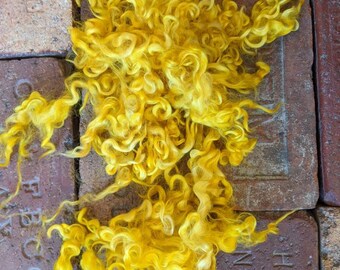 Bright Yellow Cotswold Lock Wool, Felting Wool, Doll Making Wool, Lustrous Locks