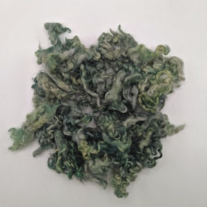 May include: A cluster of raw, curly wool fibers dyed in various shades of green, ranging from light sage to deep forest green, with subtle hints of grey and yellow throughout the textured, soft, and tangled locks of natural fiber.