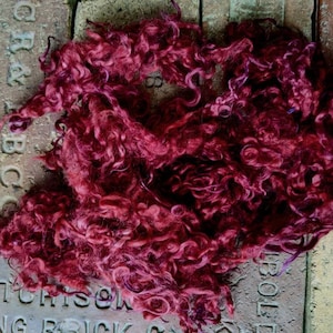 May include: A close-up of a pile of deep red curly wool yarn. The yarn is soft and fluffy, and it has a slightly purple hue.