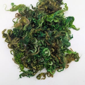 May include: A mass of green and brown curly wool fibres. The fibres display a range of green shades, from light to dark, with brown and tan highlights. The wool appears soft and textured, suitable for crafts like felting or spinning.