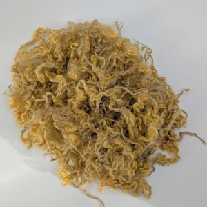 Blonde Wool Locks | Cotswold Lustrous Golden Fiber for Felting & Spinning