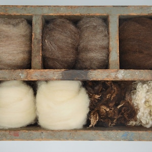 May include: A wooden box with compartments, containing different types of wool in shades of brown and cream. The wool is arranged in separate sections, showcasing its natural textures and colours. The box has a distressed finish.