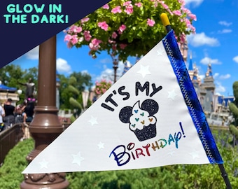 It's My Birthday! Disney Flag Spotter for Stroller, Wheelchair, Scooter, Bike & More!