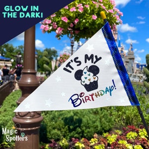 It's My Birthday Disney Flag Spotter for Stroller, Wheelchair, Scooter, Bike & More image 1