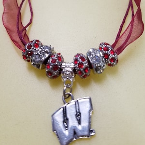 Wisconsin Badger necklace, Gift for Badger Fans, Badger pendant, Badger Football Jewelry, Badger Football necklace, Wisconsin Badgers