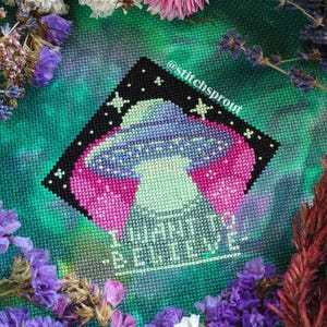 Può includere: Schema di punto croce con un UFO con un design rosa e viola e il testo "Non credere" in un font verde e bianco. Lo schema è circondato da fiori e vegetazione.