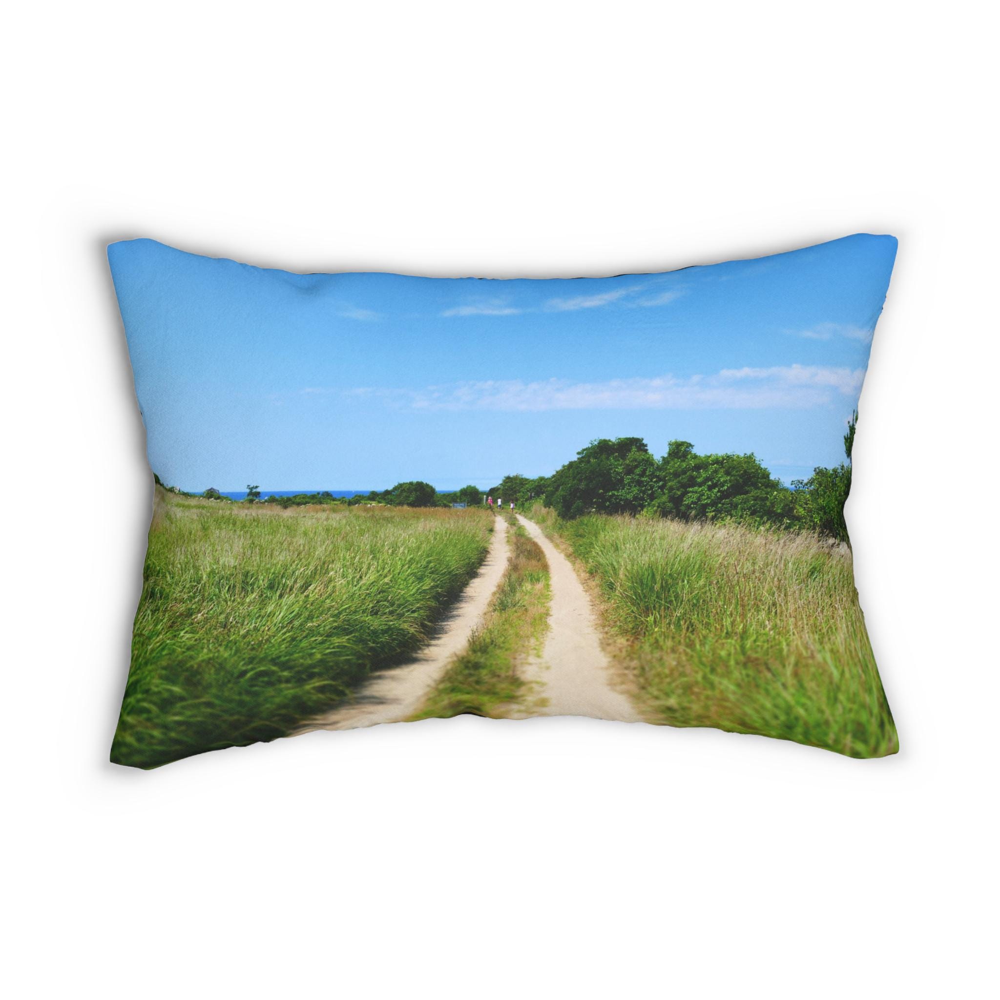 The Path to Somewhere Better - Block Island photography pillow