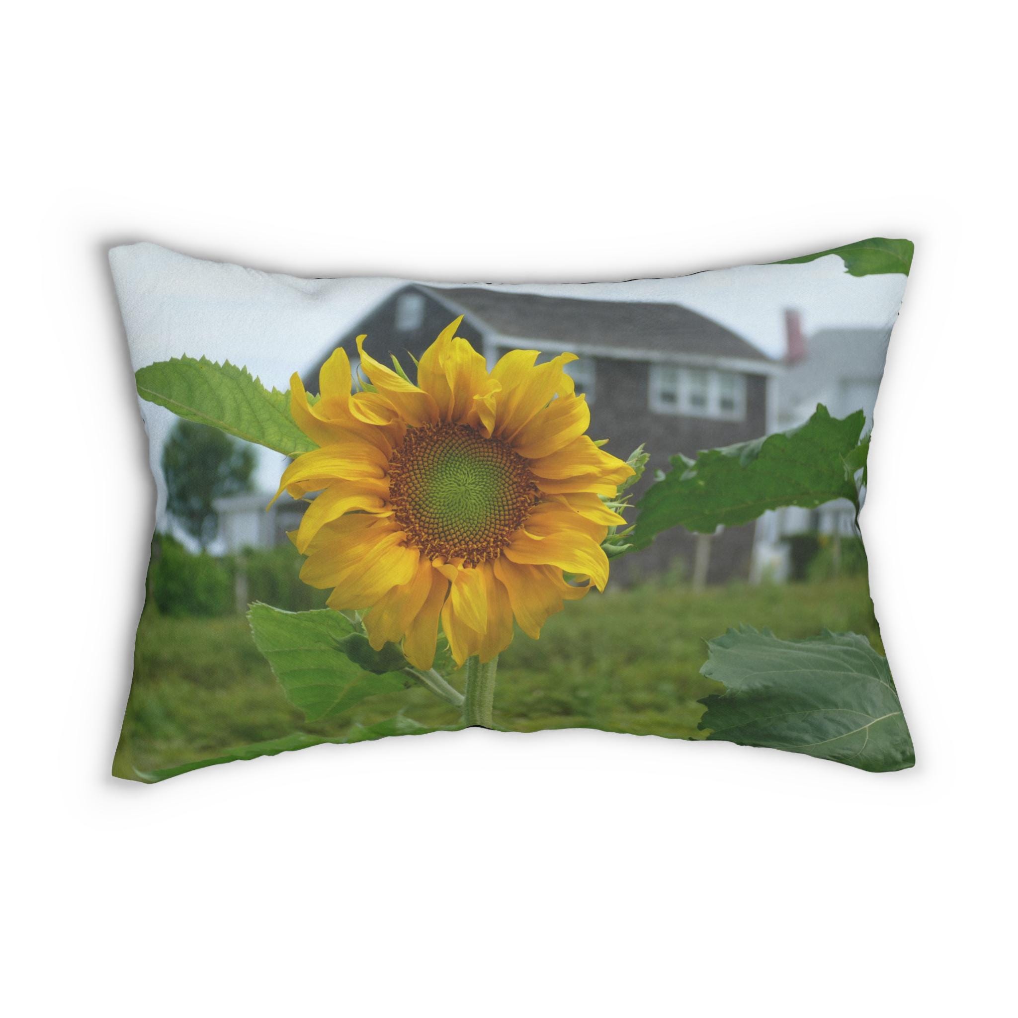 Island Sunflower - Block Island photography pillow