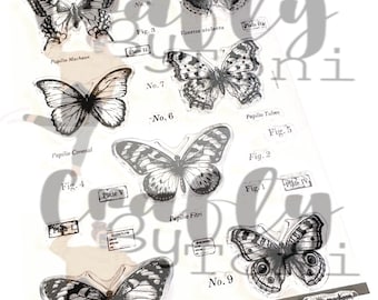 Crafty by Toni Fig. Stamp Set A5 CBT0047