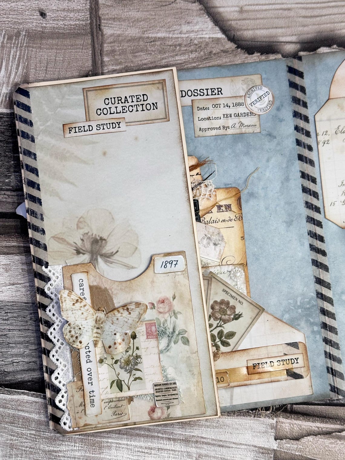 Botanical Specimen Dossier Field Notes Collection… Vintage Botanical ...