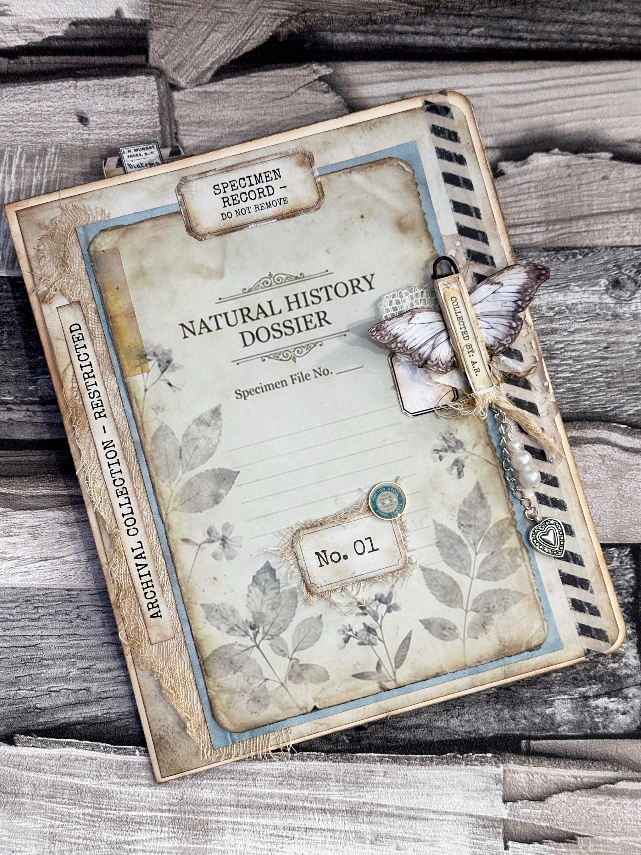 Botanical Specimen Dossier Field Notes Collection… Vintage Botanical ...