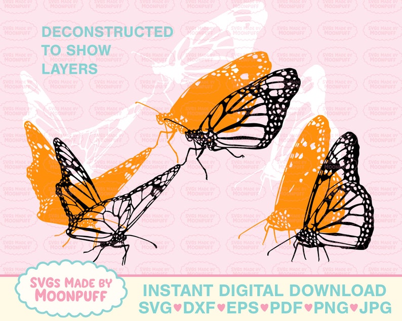 Download Realistic Butterflies Side View Cut File SVG Butterfly | Etsy